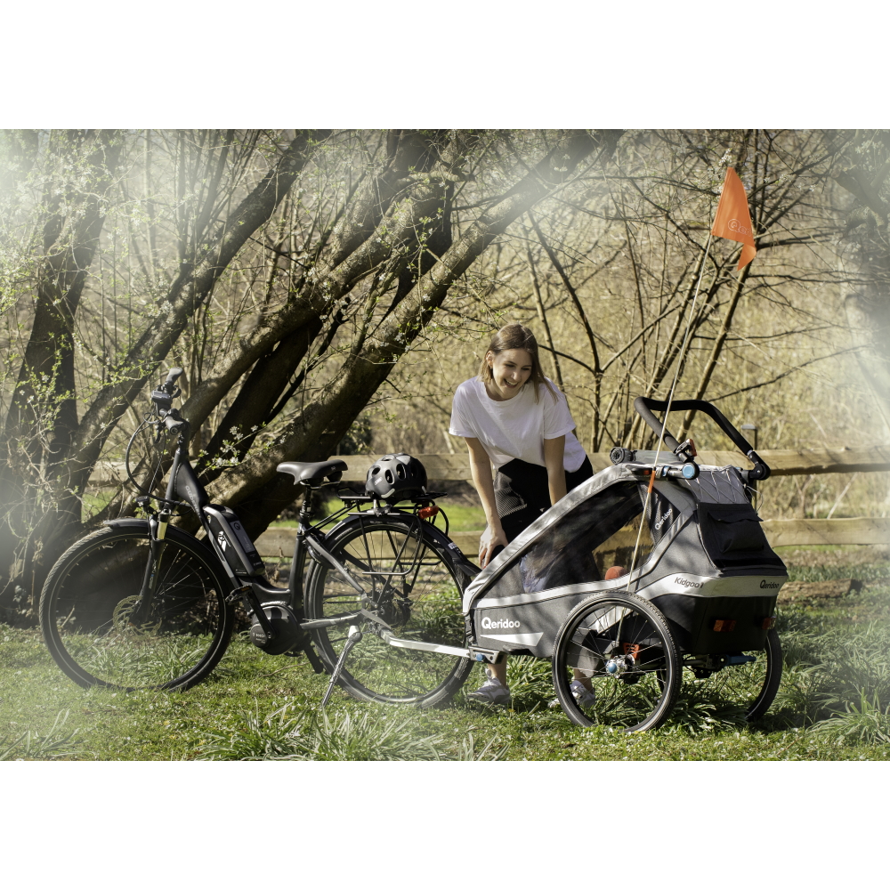 Unterschied Qeridoo Kidgoo 2 Sport Und Pro Qeridoo KidGoo 2 Multifunktionaler Kinderwagen 2020 - inSPORTline