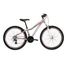 Kross Lea 2.0 26" Damen Mountainbike  - Modell 2020 - silber/rosa/weiss