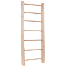 inSPORTline Steadyline 240x80 cm Sprossenwand
