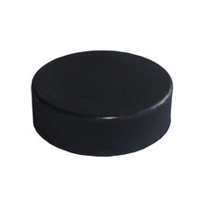 Hockey-Puck Lion JUNIOR