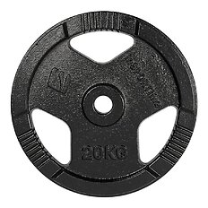 Gusseisenscheibe inSPORTline Hamerton Schwarz 20 kg 30 mm