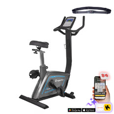 inSPORTline inCondi UB600i Ergometer