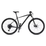 Mountainbike 4EVER Horizzont 29'' - Modell 2025