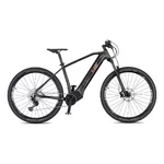 Mountainbike 4EVER Exstream Team 29"