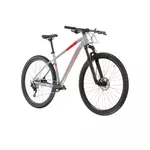 Mountainbike Kross Level 4.0 29" Gen 007 - šedá / červená / lesk