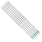 Kohlepfeile Disport Mixx 32/1200 6 Stück