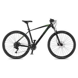 Mountainbike 4EVER FRONTBEE 29'' - Modell 2025 - foggy/silver - pearl black/green