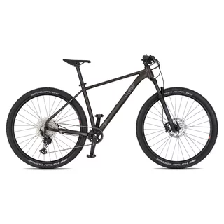 Mountainbike 4EVER Prodigy Race 29" – Modell 2026
