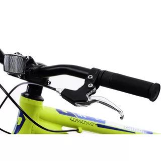 Kinderfahrrad DHS Teranna 2023 20" - Modell 2024 - Grün