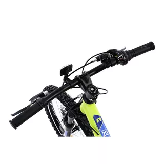 Kinderfahrrad DHS Teranna 2023 20" - Modell 2024 - Grün