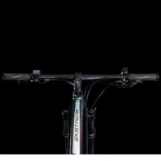 Mountainbike 4EVER Exstream Team 29" - chameleon/hologram