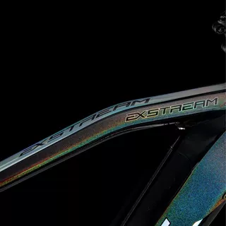 Mountainbike 4EVER Exstream Team 29" - chameleon/hologram