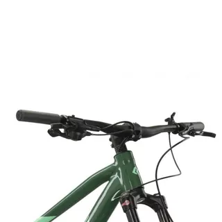 Mountainbike Kross Level 5.0 29" - Modell 2024 - zelená lesk