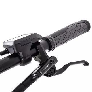 Trekking-Elektrofahrrad Levit Columba Bosch Perf. 625 28" - Modell 2024