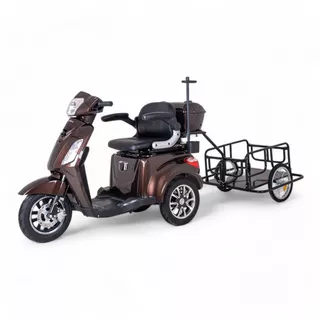 inSPORTline Zorica Elektro-Dreirad mit Anhänger - schwarz - braun