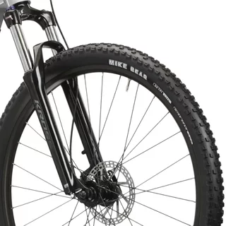 Mountainbike Kross Hexagon Boost 3.0 29" Gen 004 - stříbrná / černá / lesk