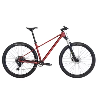Mountainbike Kross Level X200 29" – Modell 2026