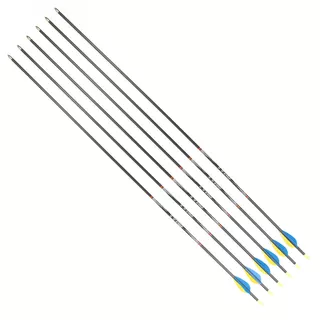 Kohlepfeile Disport Mixx 32/1200 6 Stück