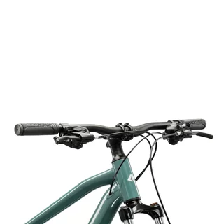 Mountainbike Kross Hexagon 2.0 29" Gen 008 - zelená / stříbrná / lesk