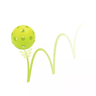 Pickleball-Set mit Netz inSPORTline RPS300