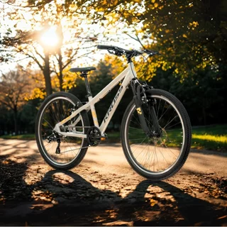 Junior Fahrrad Kross Dust JR 1.0 24" Gen 006 - šedá/černá/lesk