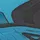 Black/Blue