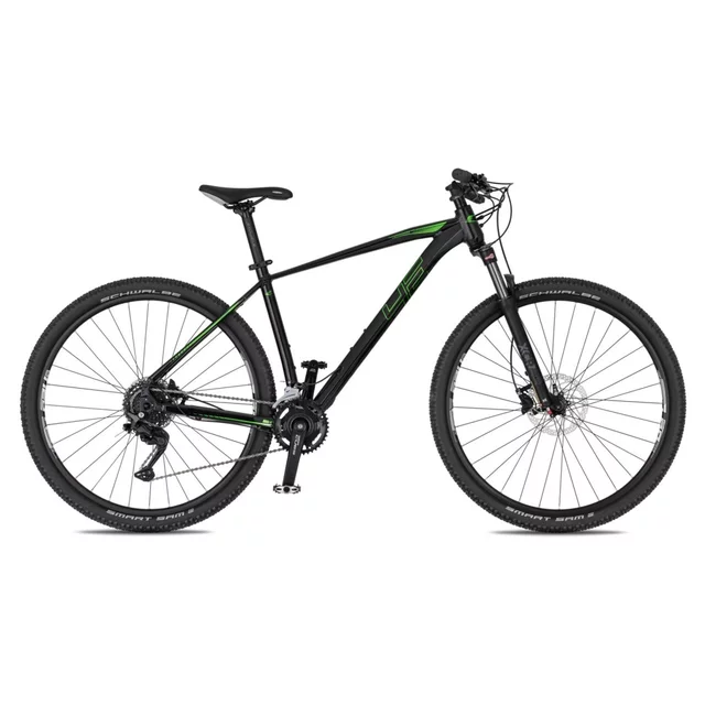 Mountainbike 4EVER FRONTBEE 29'' - Modell 2025 - foggy/silver - pearl black/green