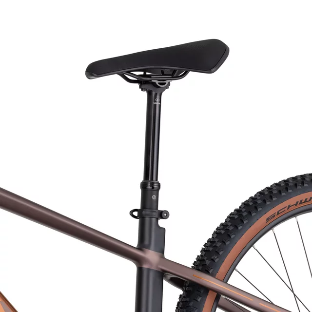 inSPORTline ISL Tachion EVO 835 Wh 29" Mountain-E-Bike – Modell 2026 • Reichweite bis zu 180 km - Deep Coffee