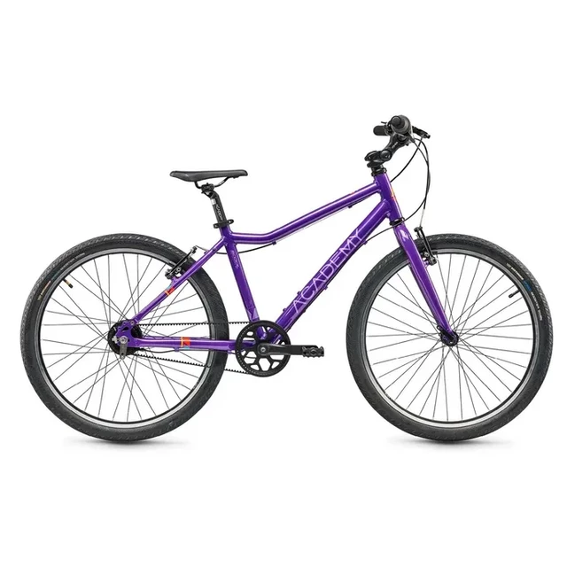 Junior Academy Klasse 5 Gürtel 24" - lila - lila