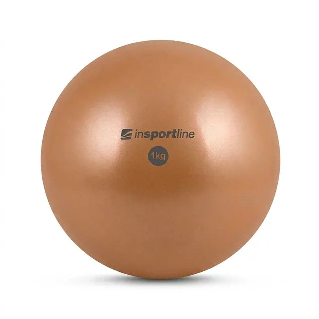 inSPORTline Yoga Ball 1 kg - mentolová - mocha mousse