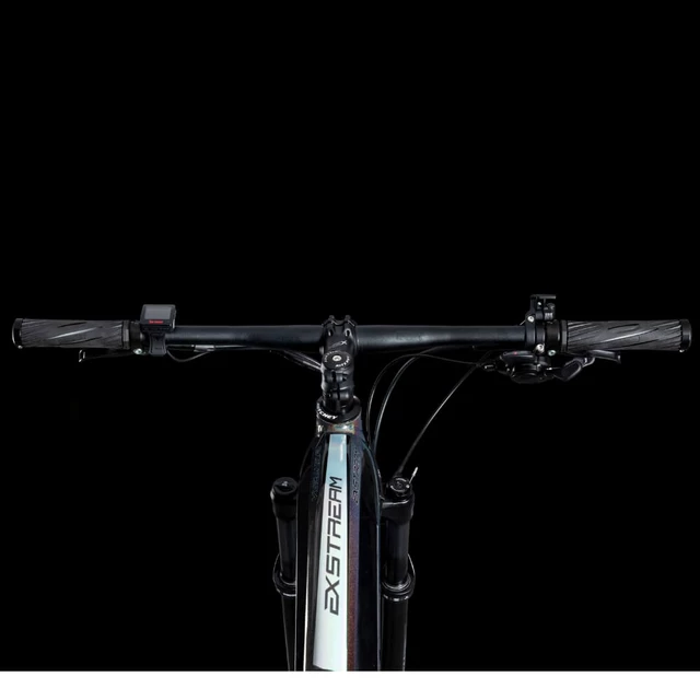Mountainbike 4EVER Exstream Team 29" - chameleon/hologram
