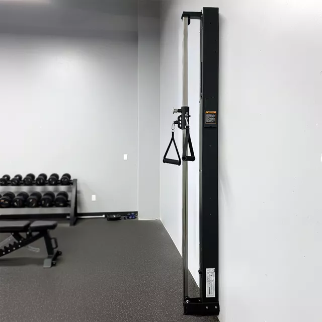 inSPORTline Vektor Fitnessstand