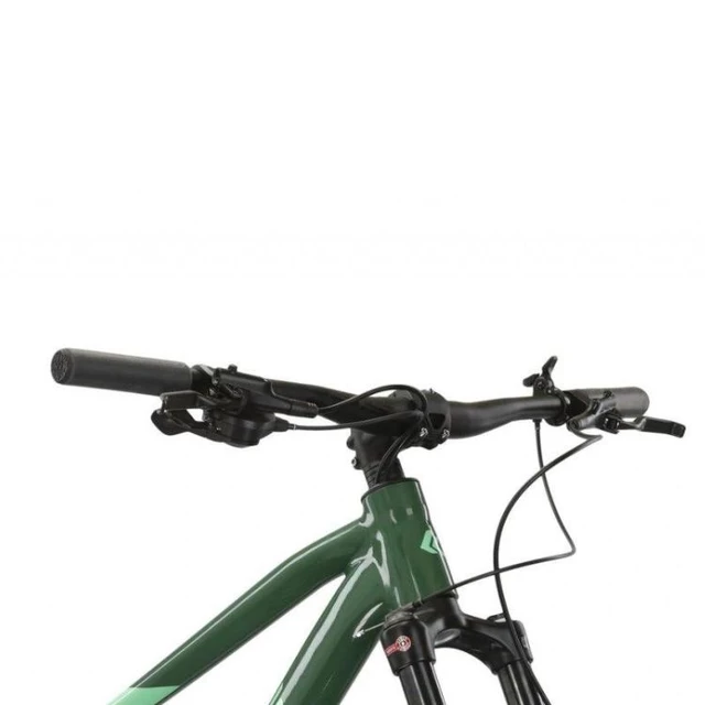 Mountainbike Kross Level 5.0 29" - Modell 2024 - zelená lesk
