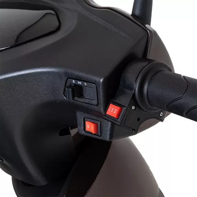 inSPORTline Zorica Elektro-Dreirad mit Anhänger - schwarz