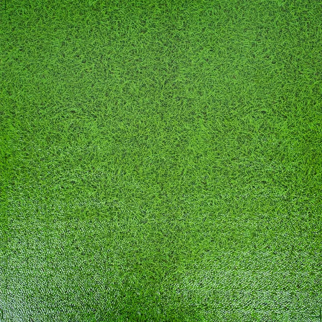 Puzzle Tatami Matte inSPORTline Zemalpro 100x100x2 cm - motiv trávníku