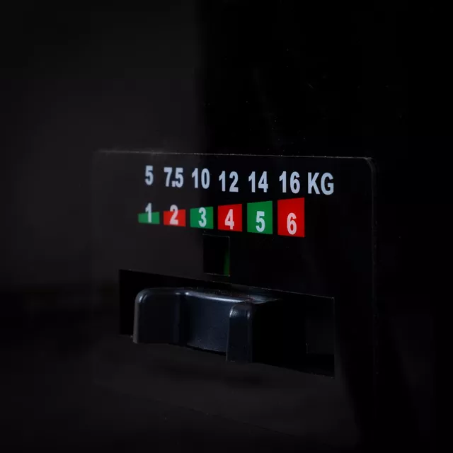 inSPORTline Vektor Fitnessstand