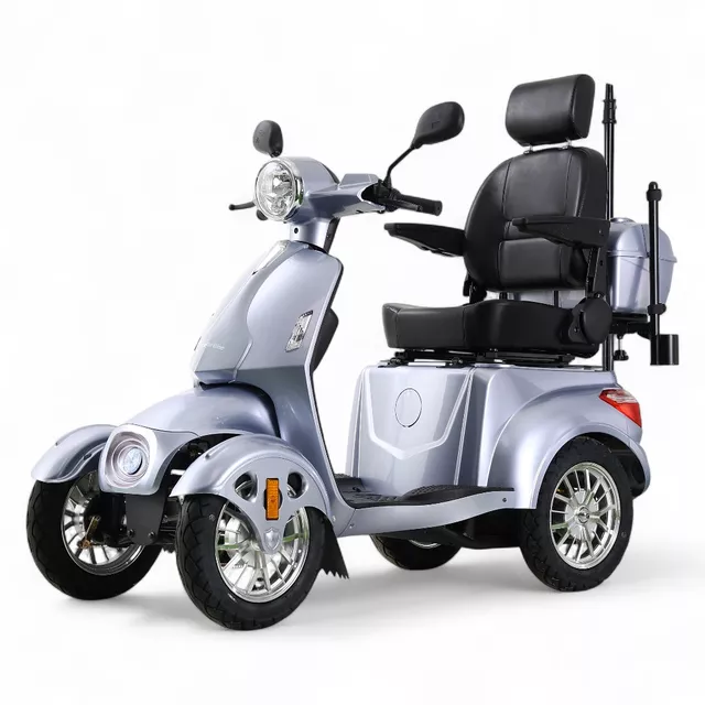 inSPORTline Antun elektrischer vierrädriger Wagen - silber