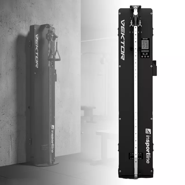 inSPORTline Vektor Fitnessstand
