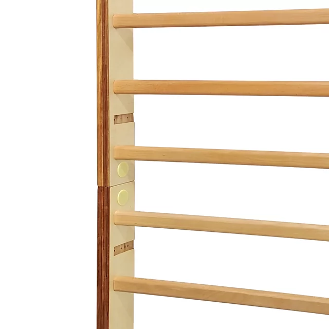 inSPORTline Sprossenwand Dualmar 250x90 cm