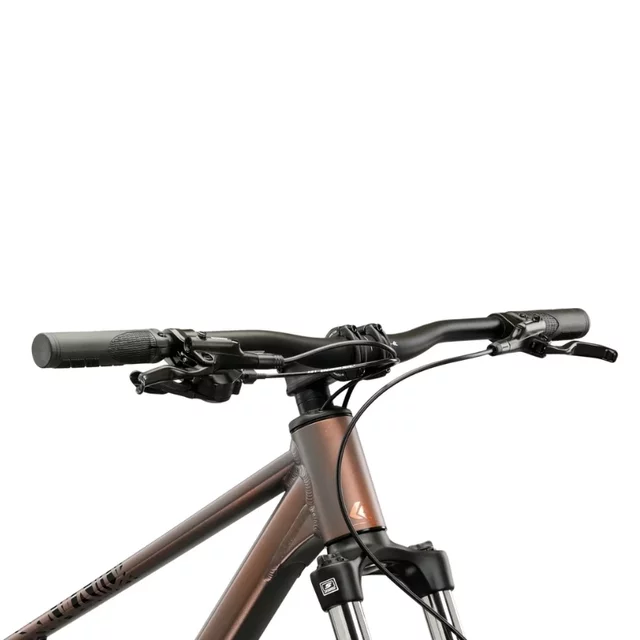 Mountainbike Kross Level X100 29" – Modell 2026