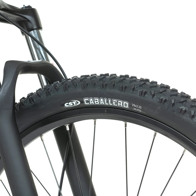 Mountainbike Levit Muan BF3 Overstep 630 29" - Modell 2024