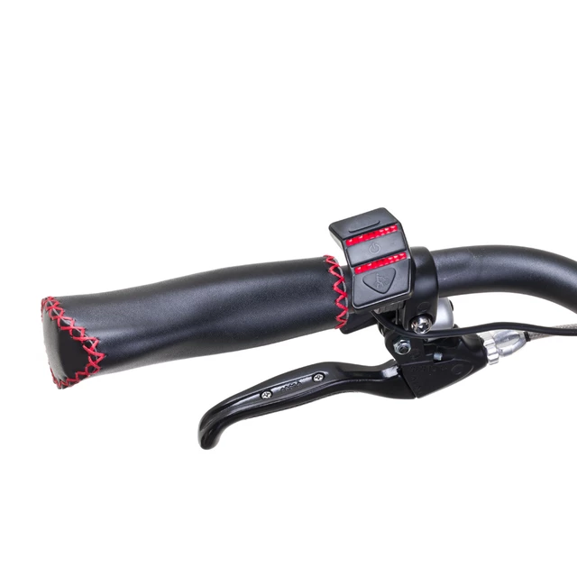 E-Bike für die Stadt - Devron 28124A 28" - schwarz