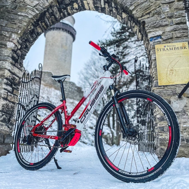 Cross E-Bike Crussis e-Cross Lady 9.6-M - model 2021