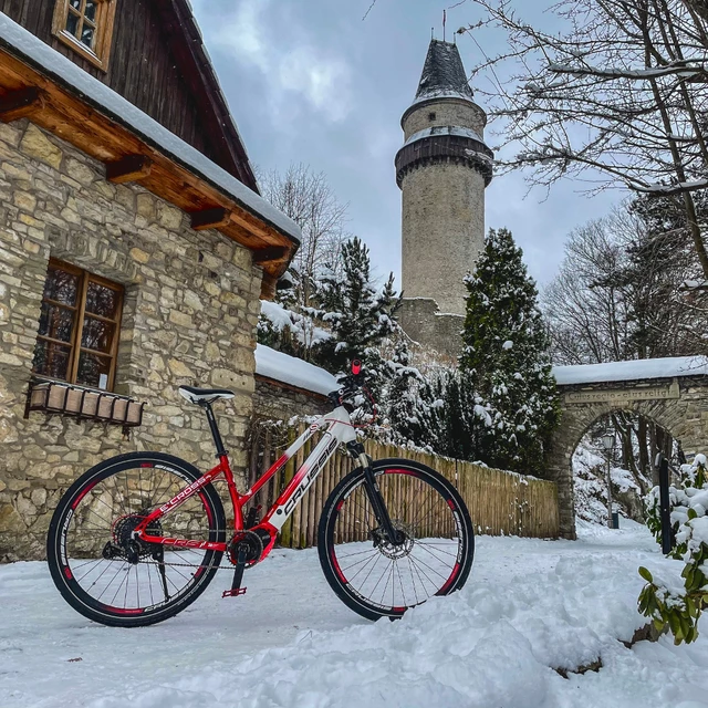 Cross E-Bike Crussis e-Cross Lady 9.6-M - model 2021
