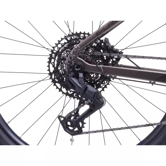 Mountain E-Bike Crussis e-Largo 10.11 894Wh 29" - Modell 2026