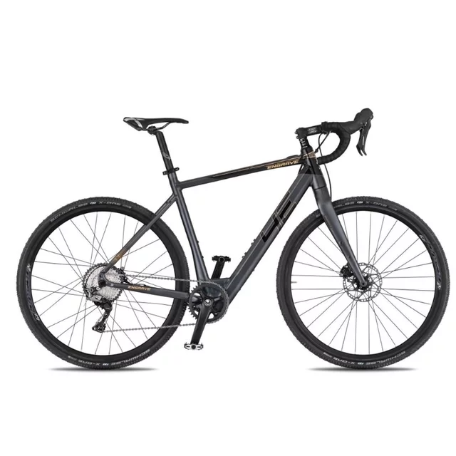 Gravel-E-Bike 4EVER ENGRAVE PRO 28" - titan/hologram - titan/metal gold