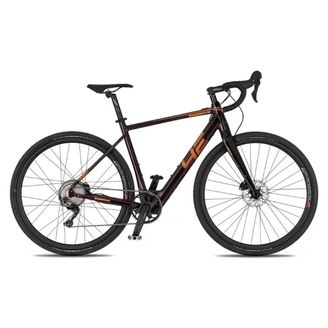 Gravel-E-Bike 4EVER ENGRAVE PRO 28" - titan/hologram - velvet/metal bronze