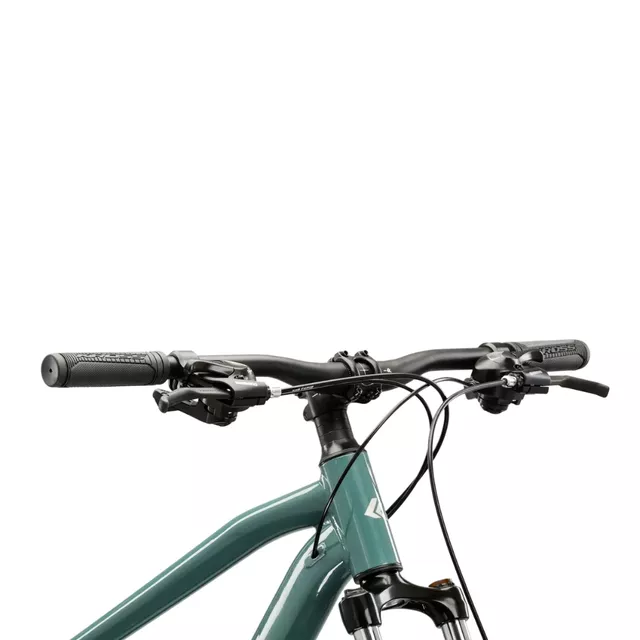 Mountainbike Kross Hexagon 2.0 29" Gen 008 - zelená / stříbrná / lesk