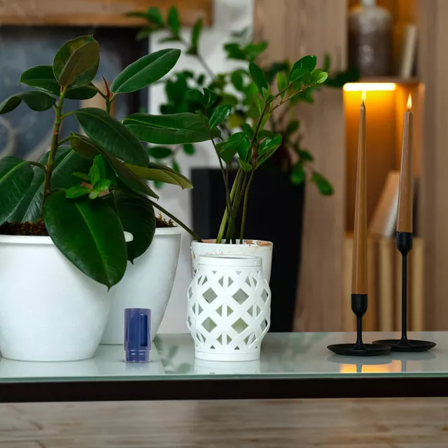 Duftende Nachfüllpackung für Massagesessel inSPORTline Cortela