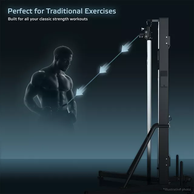 inSPORTline Vektor Fitnessstand